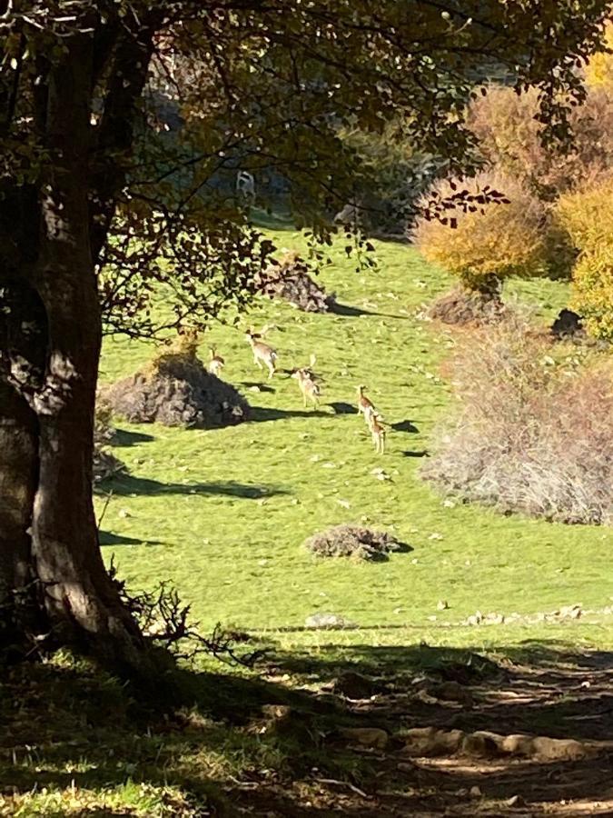 La Casetta Nel Bosco Per Turisti 卡斯特布奥诺 外观 照片