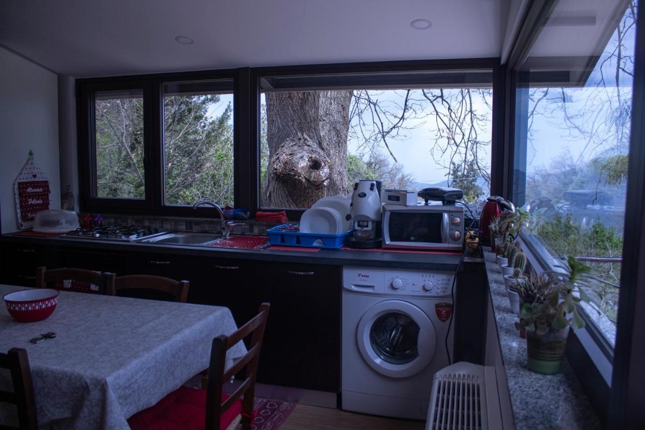 La Casetta Nel Bosco Per Turisti 卡斯特布奥诺 外观 照片